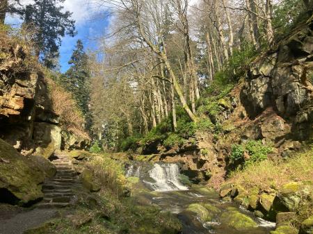 The stream flowing downhill at Cragside